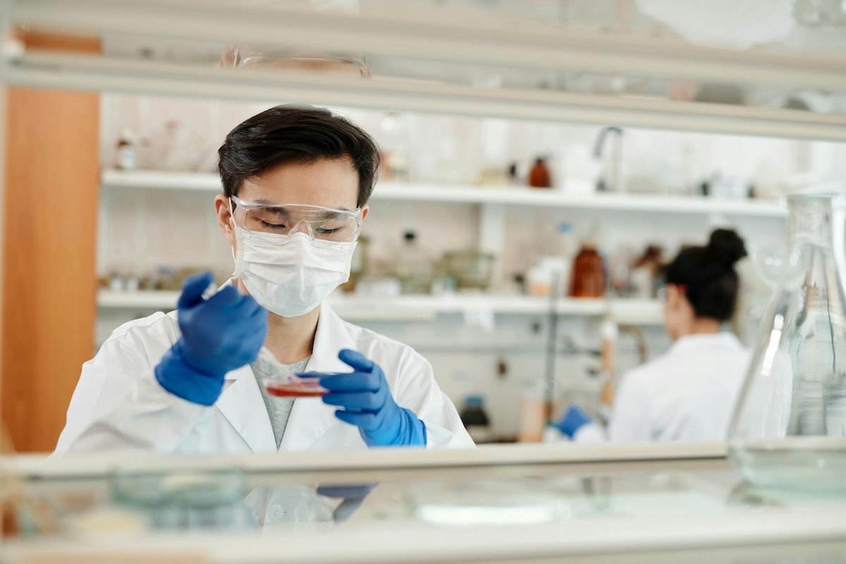 Ranking of the Best Scientists in the World in 2026 (5th Edition) thumbnail